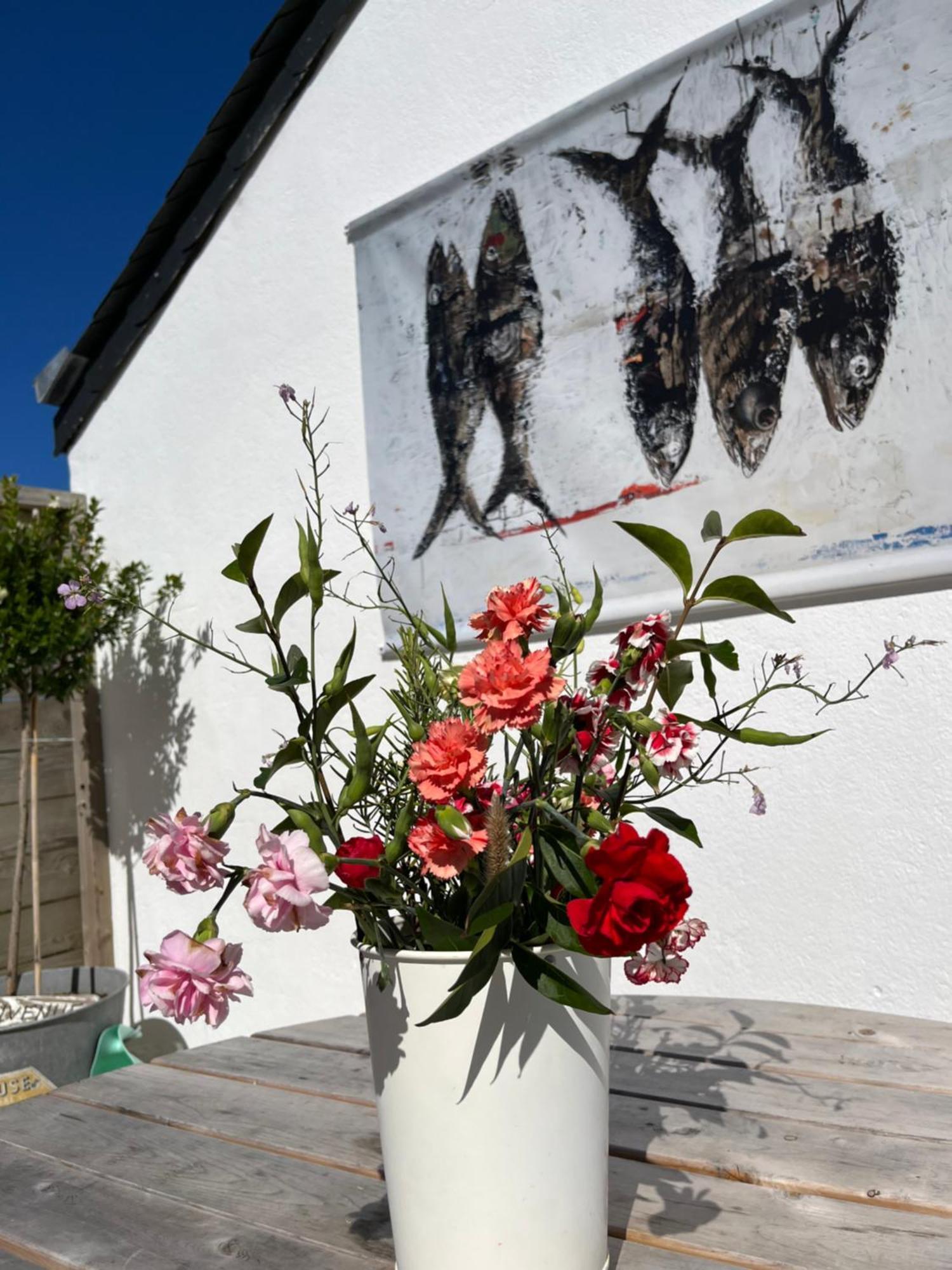 Bed and Breakfast L'Atelier De Mezareun Ushant Exteriér fotografie